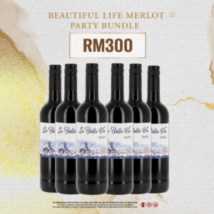 Beautiful Life Merlot Party Bundle