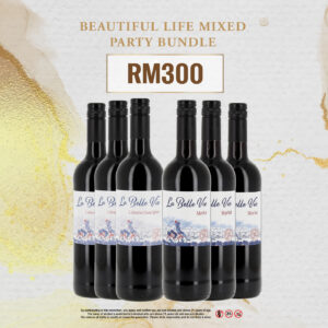 Beautiful Life Mixed Party Bundle
