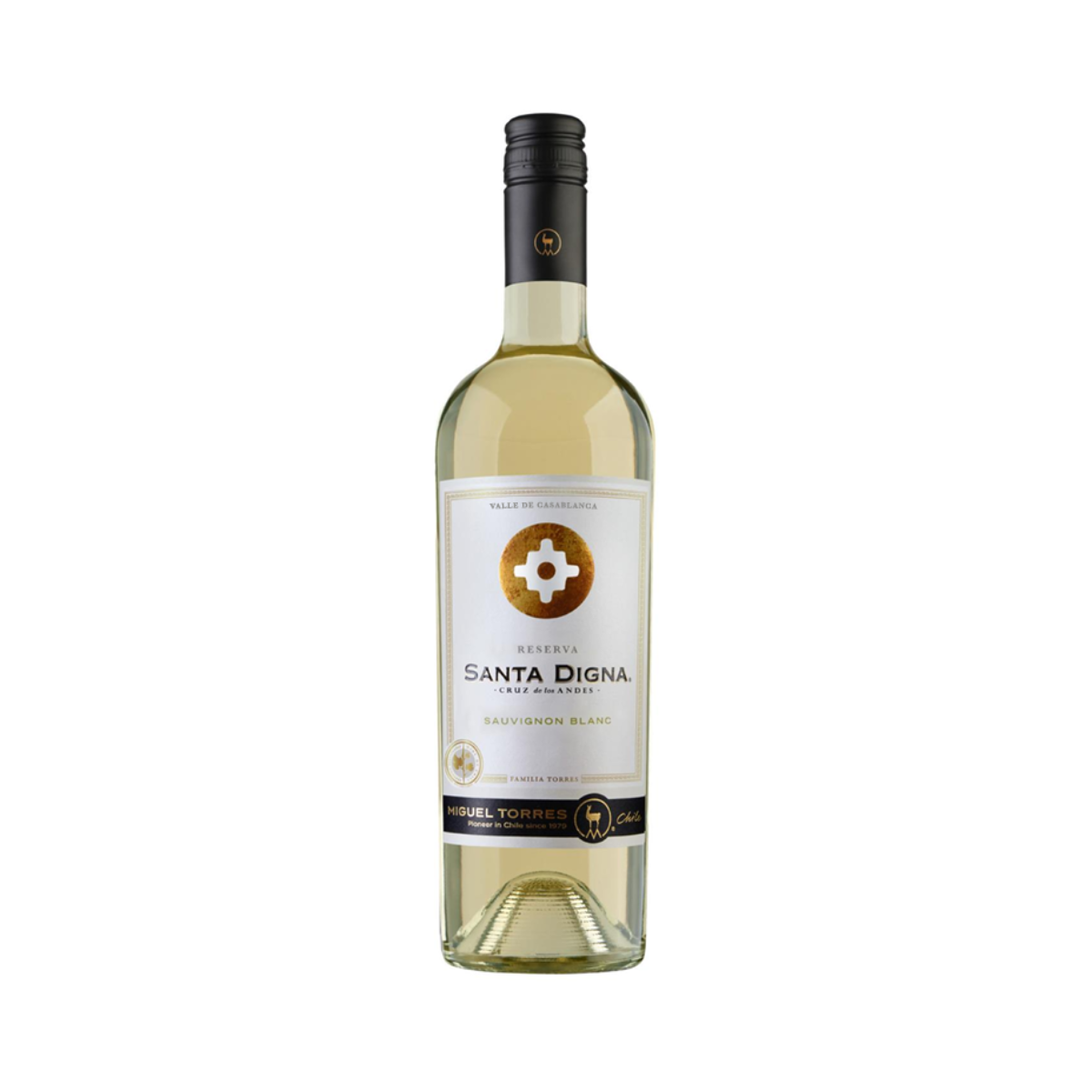 Miguel Torres Santa Digna Reserva Sauvignon Blanc