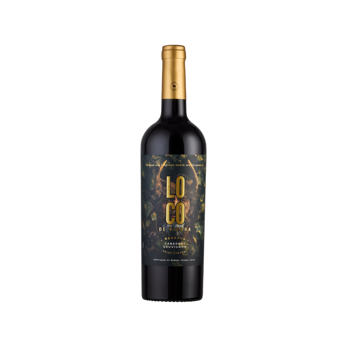 Miguel Torres Loco De Piedra Reserva Cabernet Sauvignon
